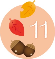11月